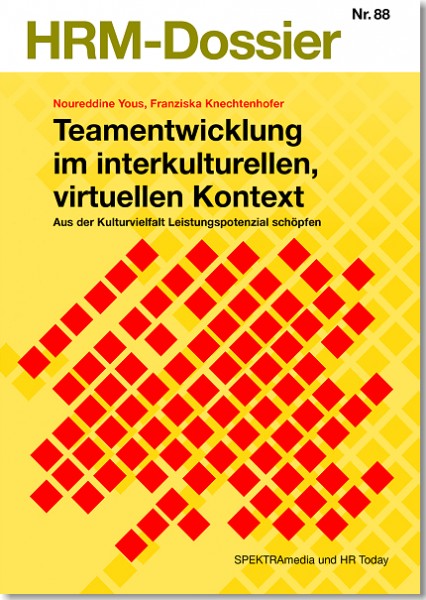 Nr. 88: Teamentwicklung im interkulturellen Kontext